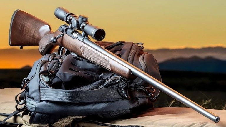 5 Best .22 LR Precision Rifles for Precision Shooting & Hunting