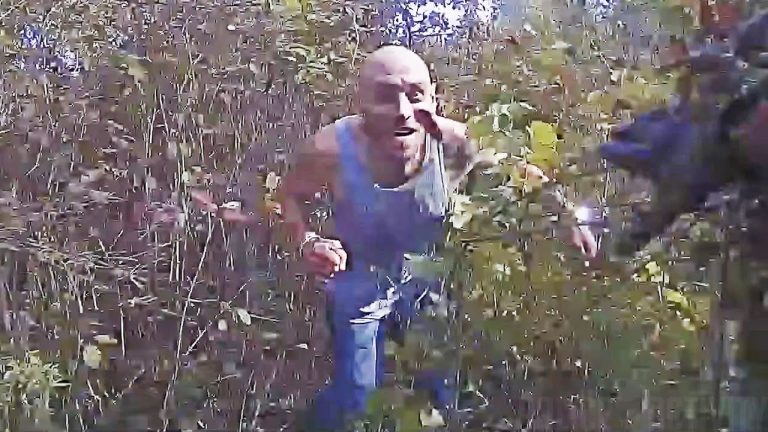 Limo Driver Leads Officers on Chase Through Wooded Area After Crashing During Pursuit