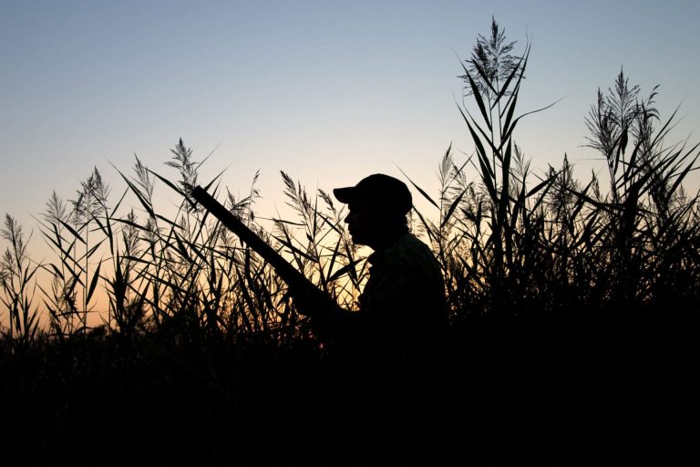 Wyoming Duck Hunter Says Fatal Shooting Was Accident