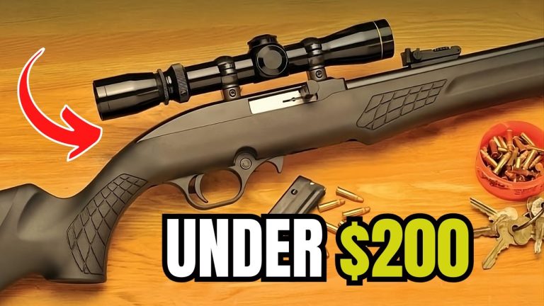 TOP 5 Best Affordable Guns Under 0 That Are Surprisingly AWESOME!