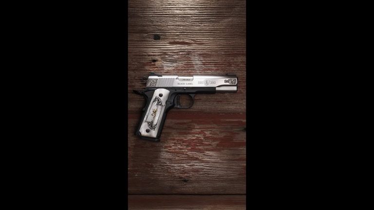 The Best 380 1911? (Browning 1911 380 Medallion Stainless)