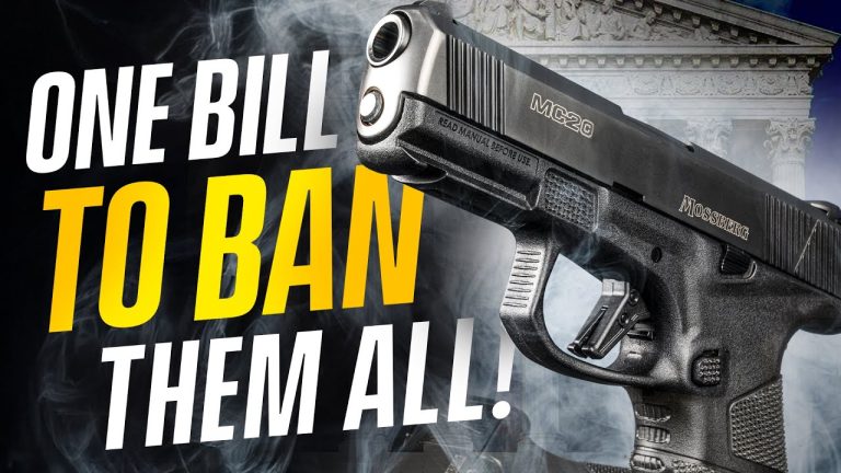 Update: One Gun Bill To BAN THEM ALL? – Colorado Senate Just Amended This Bill, What’s Next?