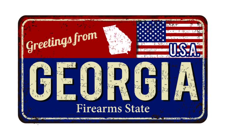 Georgia Senate Approves Gun Tax Holiday