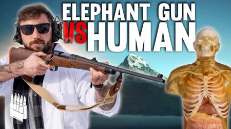 Elephant Gun Vs Human