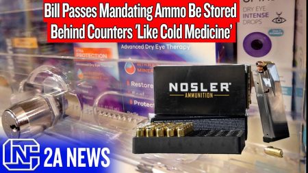 Bill Passes Mandating Ammo Be Stored Behind Counters ‘Like Cold Medicine’