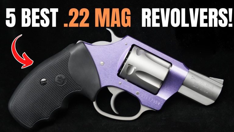 Top 5 Best .22 Magnum Revolvers of 2025 | Ultimate Rimfire Power