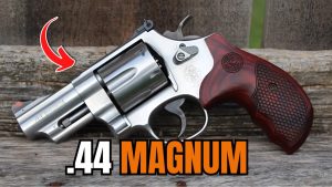 The 5 BEST .44 Magnum Revolvers In 2025!