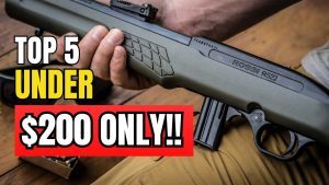 5 Best Affordable Guns Under 0 You Should Get Right Now!