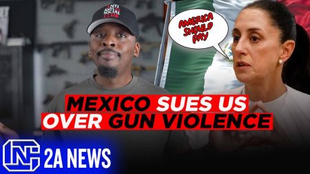 Mexico Sues US Over Gun Violence