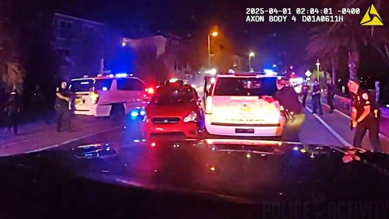 Florida Woman Shot by Deputies After Waving Gun and Ramming Several Vehicles