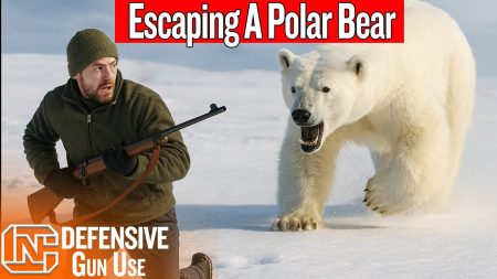 He Dropped His Rifle Running From A Charging Polar Bear