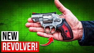 10 Best Concealed Carry Revolvers for Seniors 2025!