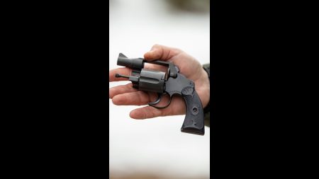 Would you want one for your collection? (Fitz Special)