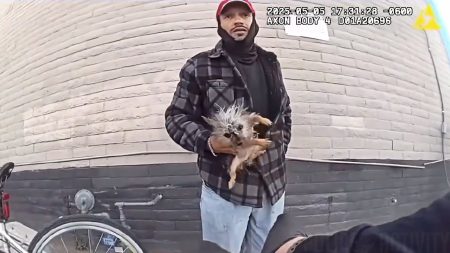 Suspect Throws Small Dog at Police Officer While Attempting Escape