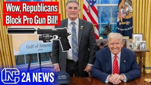 Wow, Republicans Are Blocking A Pro Gun Bill!