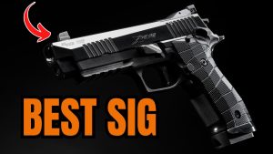 Top 5 SIG SAUER Guns That Will Dominate Market 2025