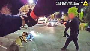 Elk Grove Officers Shoot Man Holding Loaded Revolver Outside In-N-Out
